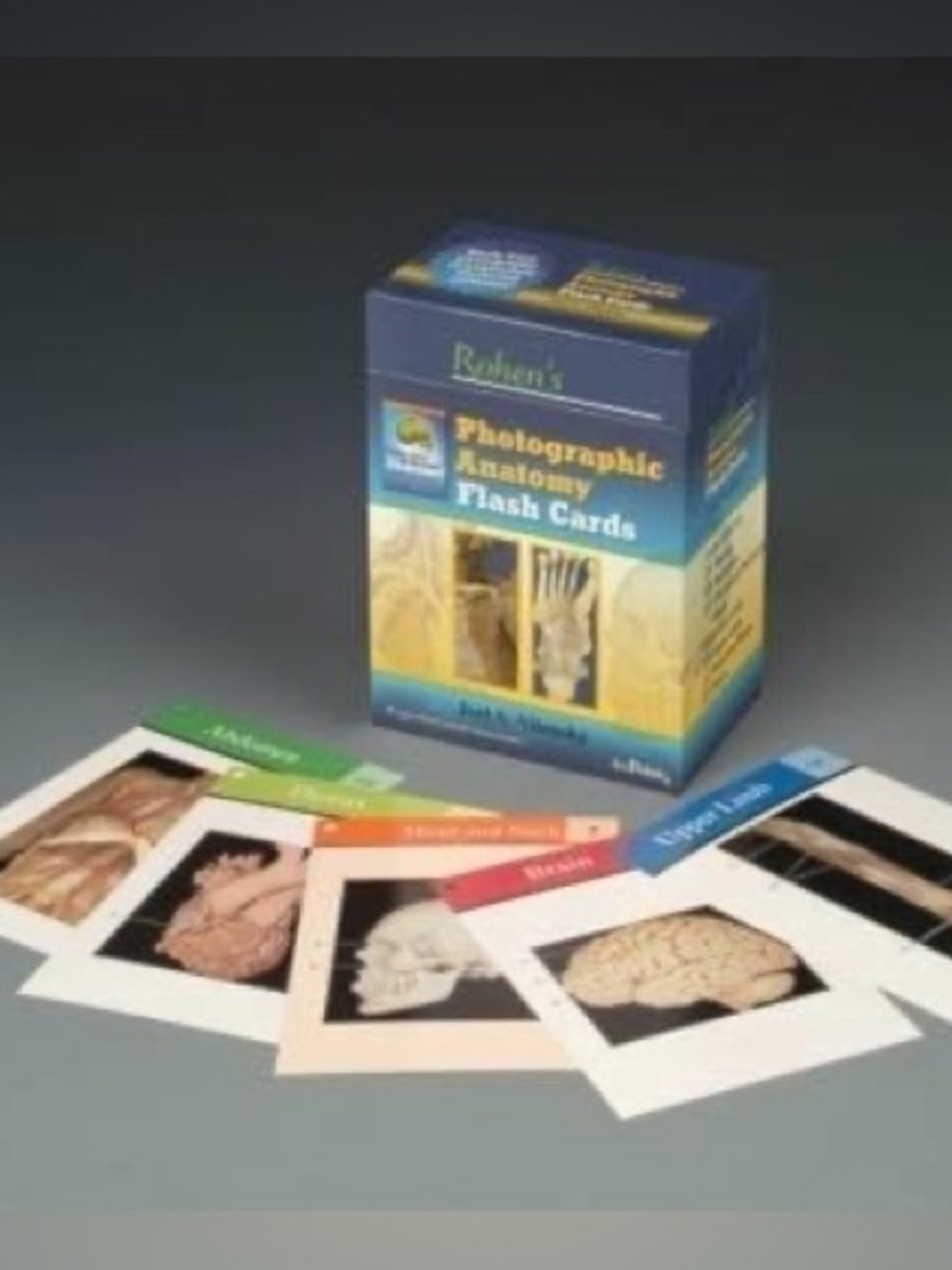 Rohan’s Photographic Anatomy Flash Cards